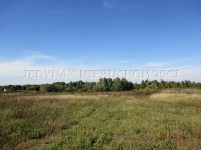 Działka 5 552 m², Łochowice