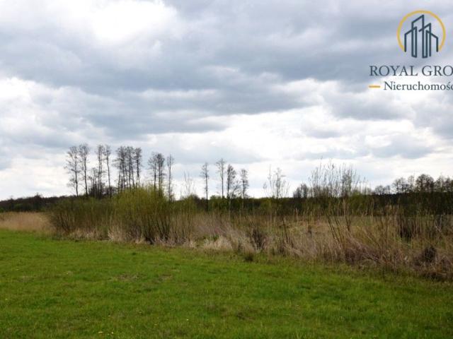 Działka 5 586 m², Giżyce