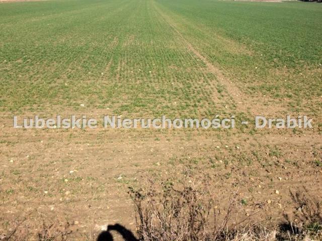 Działka 5 580 m², Mełgiew