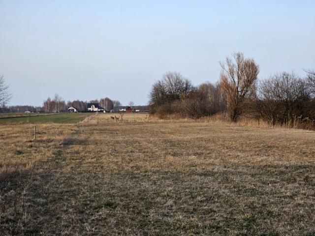 Działka 5 582 m², Rzakta