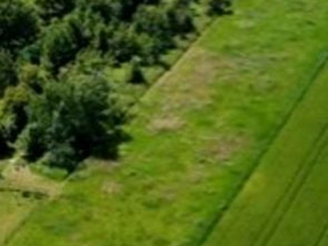Działka 5 594 m², Wola Mielecka