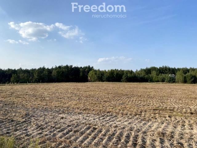 Działka 5 600 m², Ciechocin