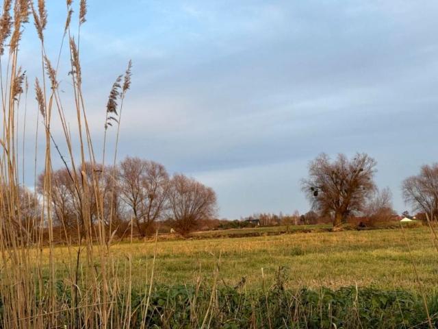 Działka 13 800 m², Oleśniczka