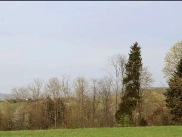 Działka 5 600 m², Leśnica