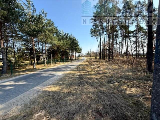 Działka 5 600 m², Niezgoda