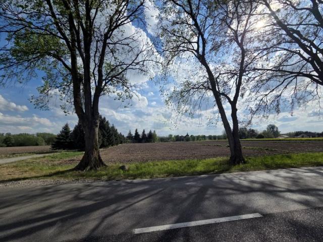 Działka 5 625 m², Nowa Sucha