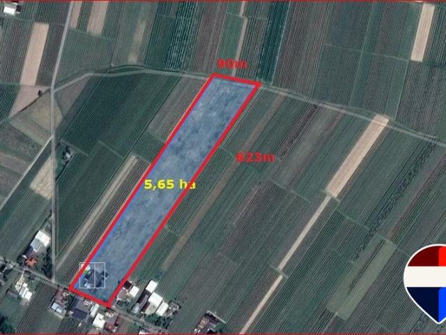 Działka 5,65 ha z budynkami, media, uprawy, inwestycja
