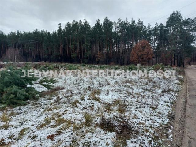 Działka 5 665 m², Drzewce