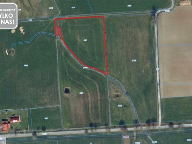 Działka 5 662 m², Kurowo Braniewskie