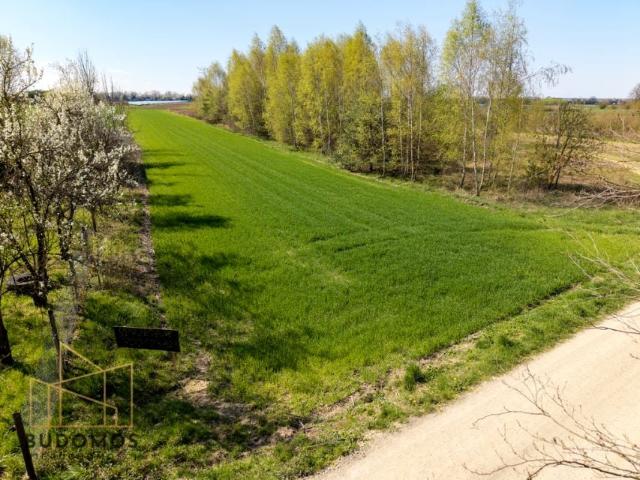 Działka 5 700 m², Kliszów
