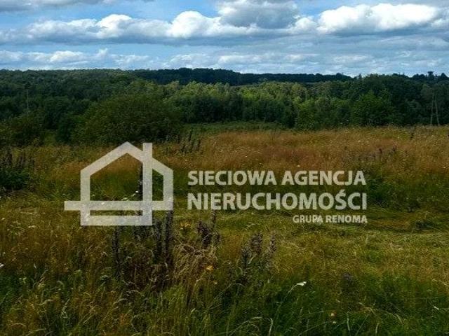 Działka 5 808 m², Trzepowo