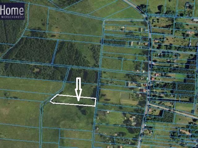 Działka 5 800 m², Kruszyniany