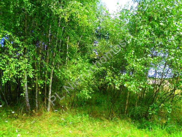Działka 5 800 m², Mlęcin