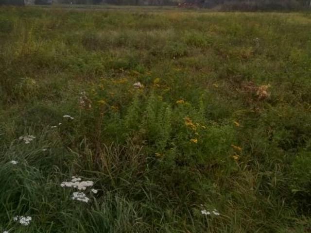 Działka 5 800 m², Radzików
