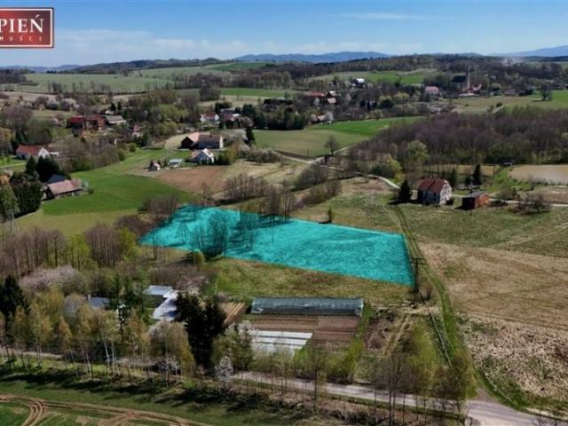 Działka 5 800 m², Wojciechów