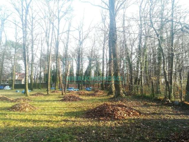 Działka 5 840 m², Milanówek
