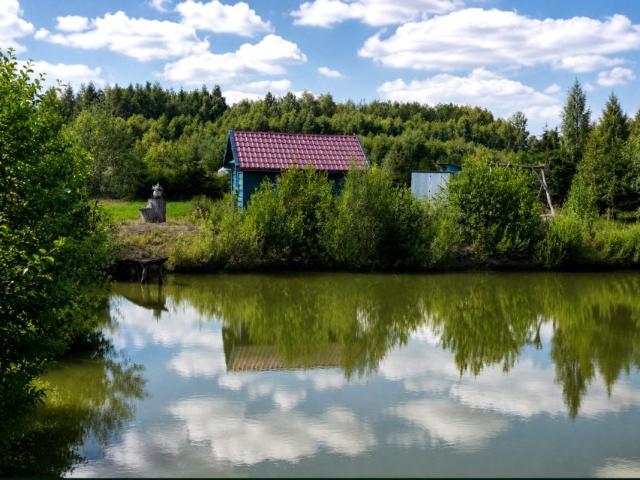 Działka 5 900 m², Hołody