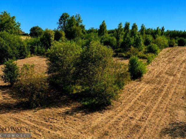 Działka 5 985 m², Zielonki