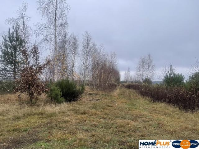 Działka 6443 m² z dojazdem z dwóch stron i mediami