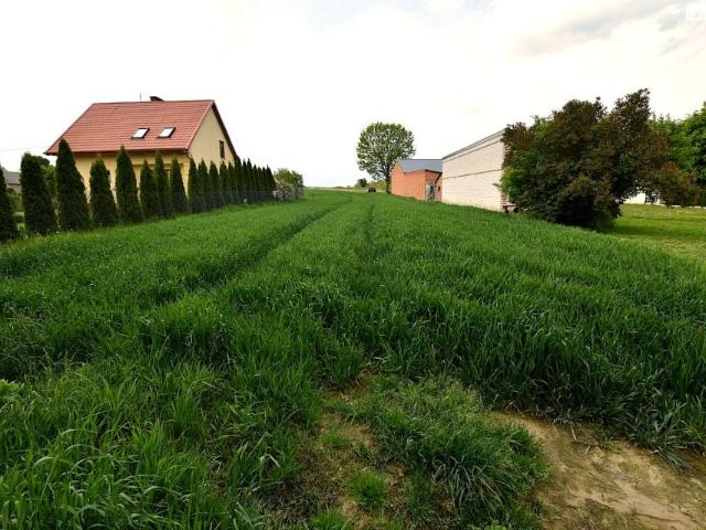 Działka 64 900 m², Słotwiny