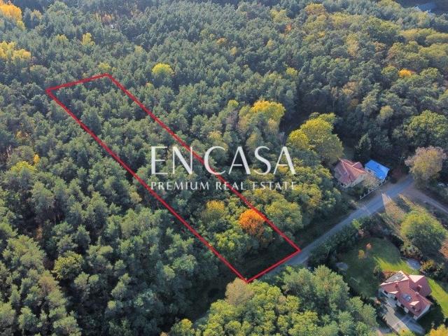 Działka 6500 m² z lasem i możliwością podziału