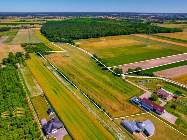 Działka 65 254 m², Witaniów