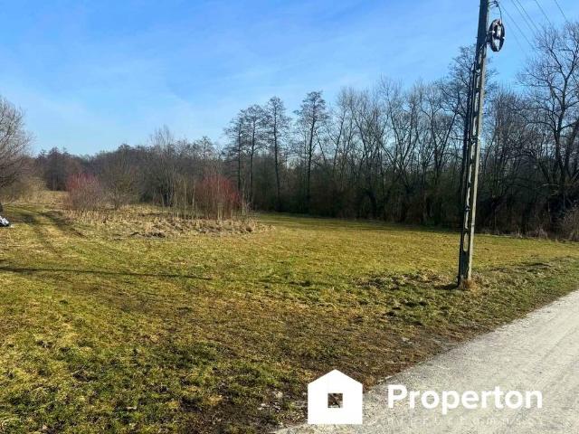 Działka 6608 m² z mediami, zabudowa i rekreacja