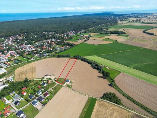 Działka 6700 m² w Stegnie – blisko plaży i lasu!