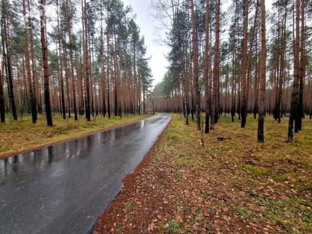 Działka 67 800 m², Potępa