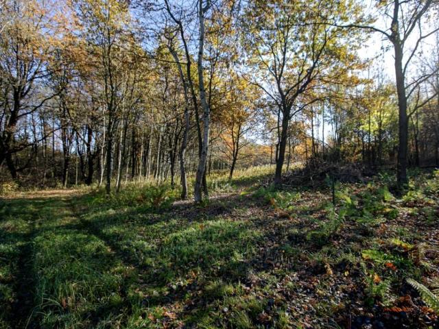 Działka 680 m², Koszyce Wielkie