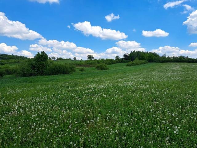 Działka 687 m², Dzielec