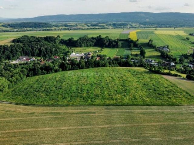 Działka 69 600 m², Szalejów Dolny