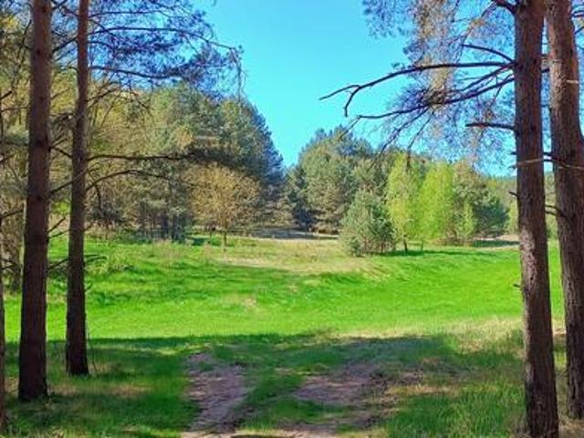 Działka 6005 m², Blisko jeziora i lasu, Inwestycja