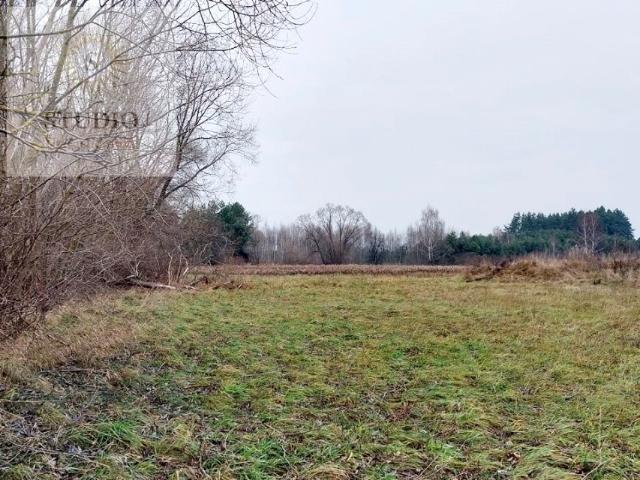 Działka 600 m², Zabłudów