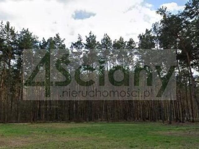 Działka 6050 m² z możliwością zabudowy mieszkaniowo usługowej