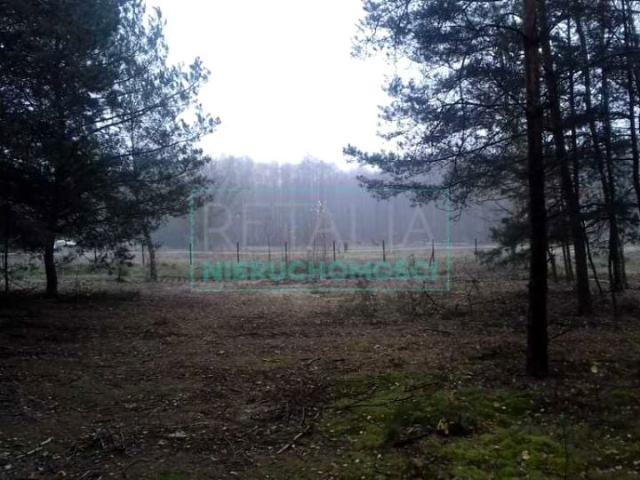 Działka 60 000 m², Bystrzanów