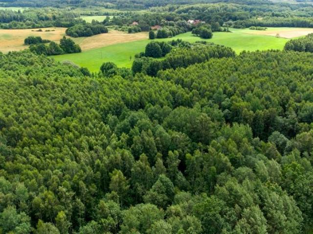 Działka 60 200 m², Nowe Mieczysławy