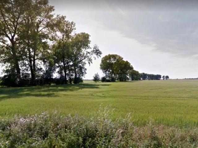 Działka 60 975 m², Brodowo