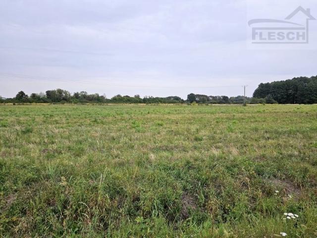 Działka 61 585 m², Urzut