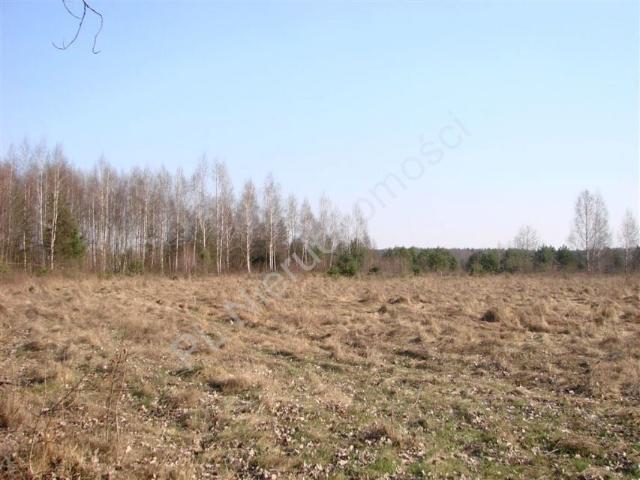 Działka 61 698 m², Piotrkowice