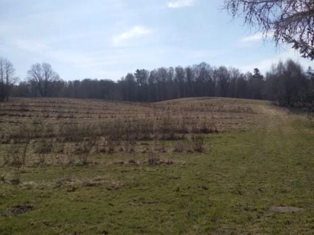 Działka 61 700 m², Nętno