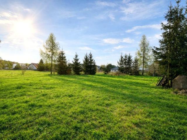 Działka 630 m², Wałdowo Królewskie