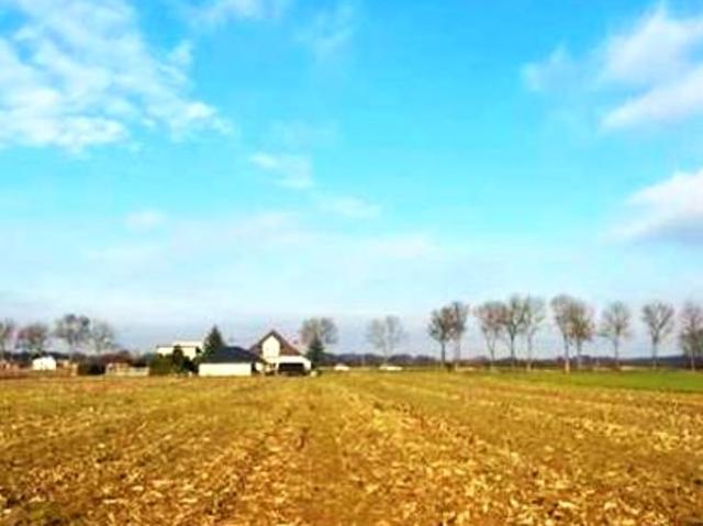 Działka 6 000 m², Konopnica
