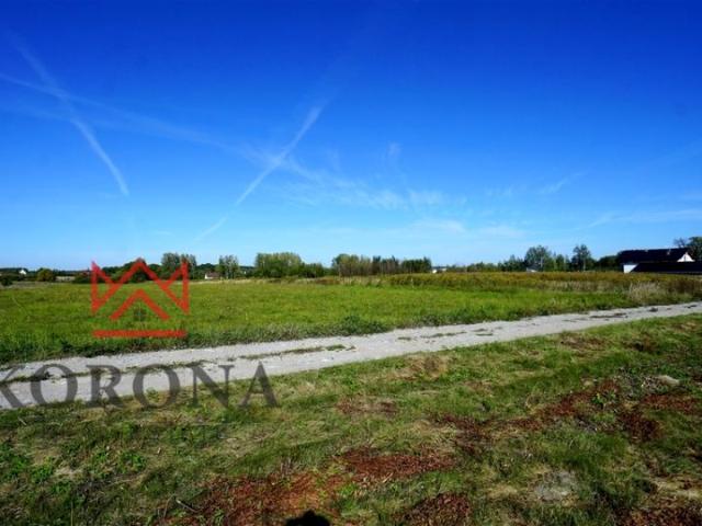 Działka 6 000 m², Halickie