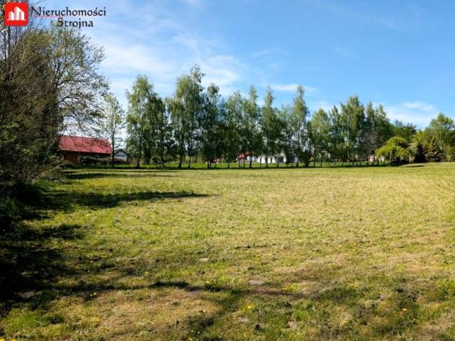 Działka 6 000 m², Jankówka