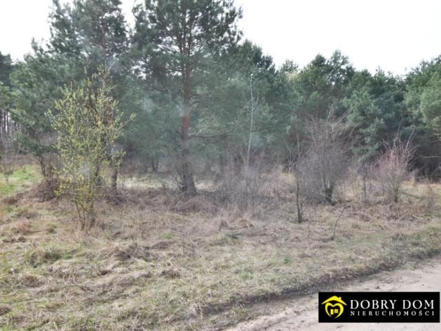 Działka 6 000 m², Żółtki