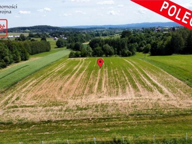 Działka 6 000 m², Sławkowice