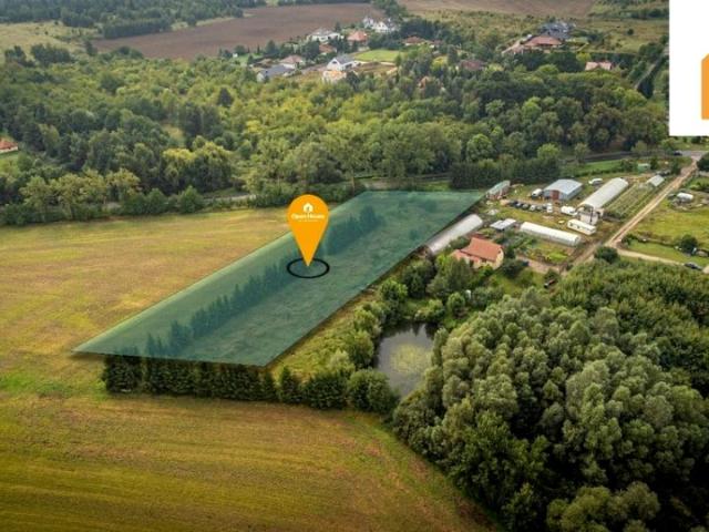 Działka 6 000 m², Siadło Górne