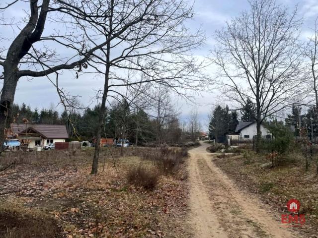 Działka 6 000 m², Skrybicze