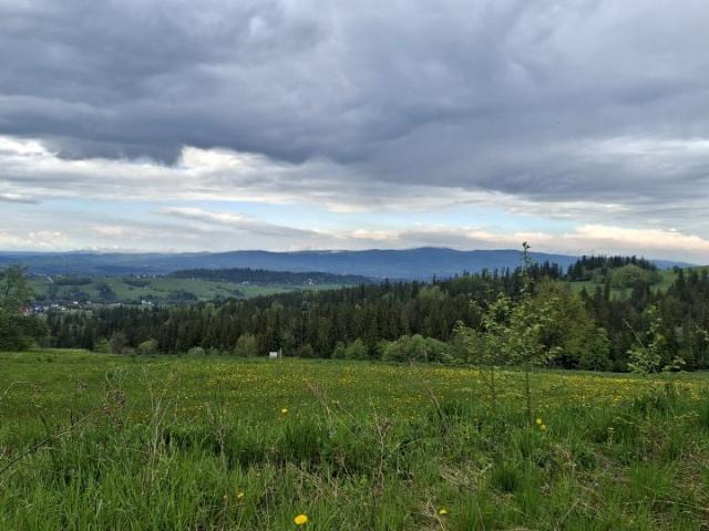 Działka 6 000 m², Skrzypne